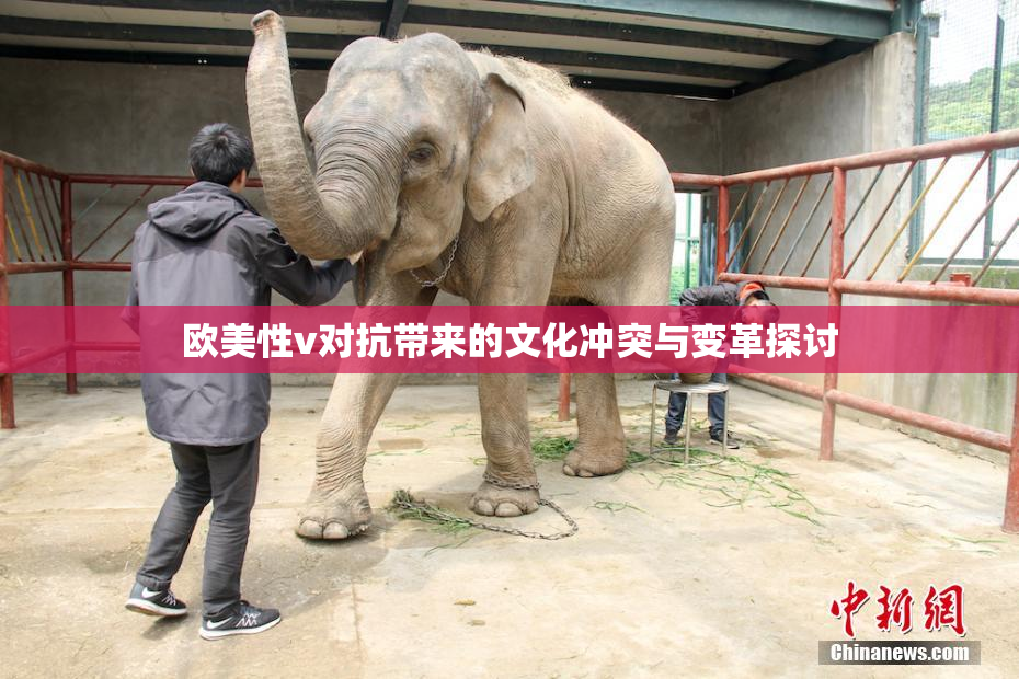 欧美性v对抗带来的文化冲突与变革探讨
