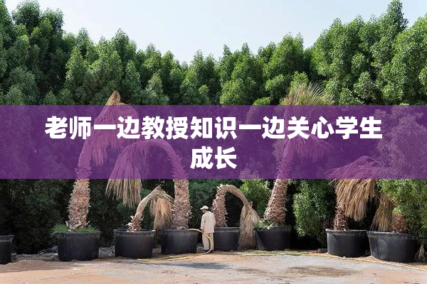 老师一边教授知识一边关心学生成长