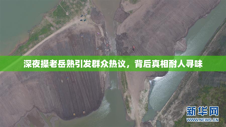 深夜搡老岳熟引发群众热议，背后真相耐人寻味