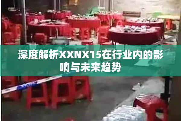 深度解析XXNX15在行业内的影响与未来趋势