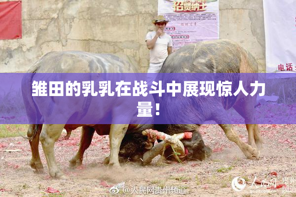 雏田的乳乳在战斗中展现惊人力量！