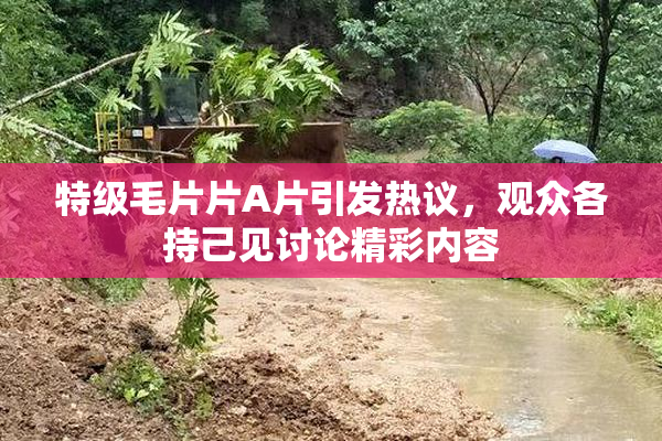 特级毛片片A片引发热议，观众各持己见讨论精彩内容
