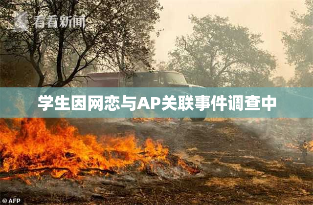 学生因网恋与AP关联事件调查中
