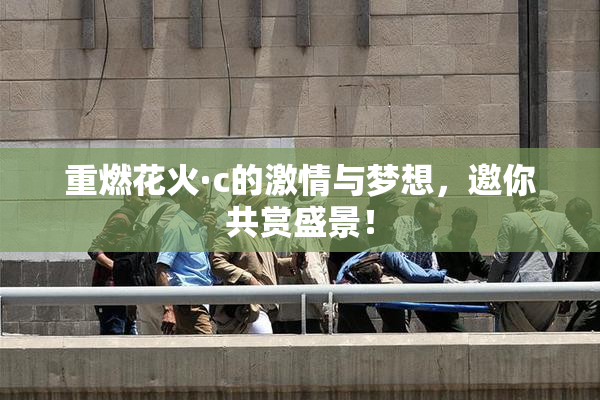 重燃花火·c的激情与梦想，邀你共赏盛景！