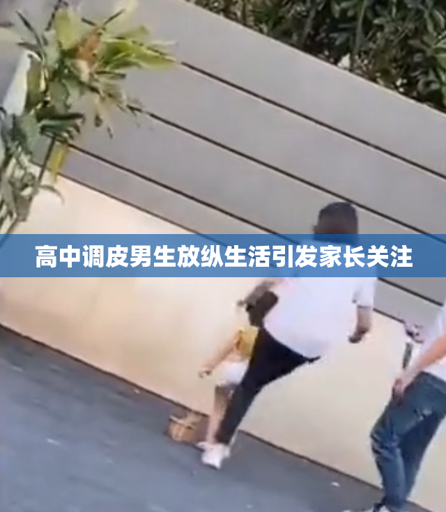 高中调皮男生放纵生活引发家长关注
