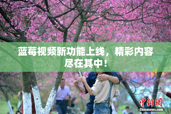 蓝莓视频新功能上线，精彩内容尽在其中！