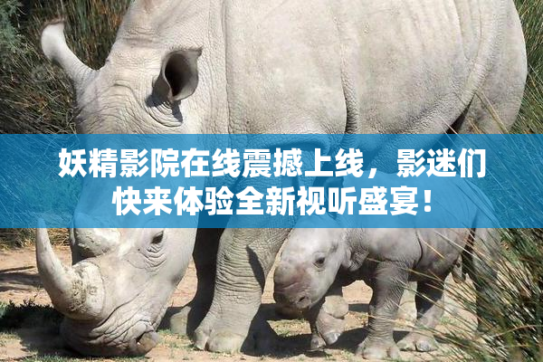 妖精影院在线震撼上线，影迷们快来体验全新视听盛宴！