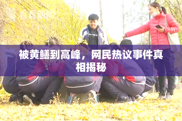 被黄鳝到高峰，网民热议事件真相揭秘