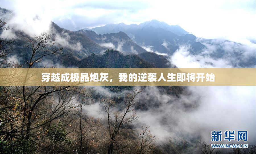 穿越成极品炮灰，我的逆袭人生即将开始