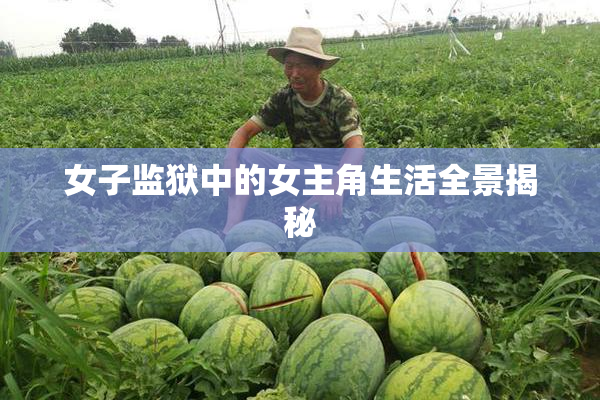 女子监狱中的女主角生活全景揭秘