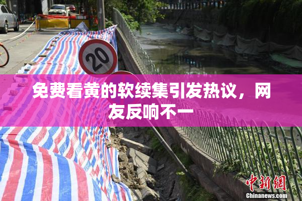 免费看黄的软续集引发热议，网友反响不一