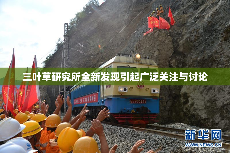 三叶草研究所全新发现引起广泛关注与讨论