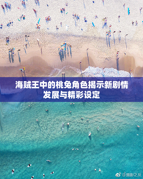 海贼王中的桃兔角色揭示新剧情发展与精彩设定