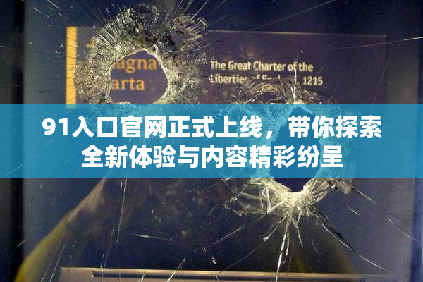 91入口官网正式上线，带你探索全新体验与内容精彩纷呈