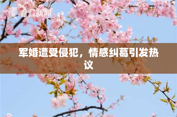 军婚遭受侵犯，情感纠葛引发热议