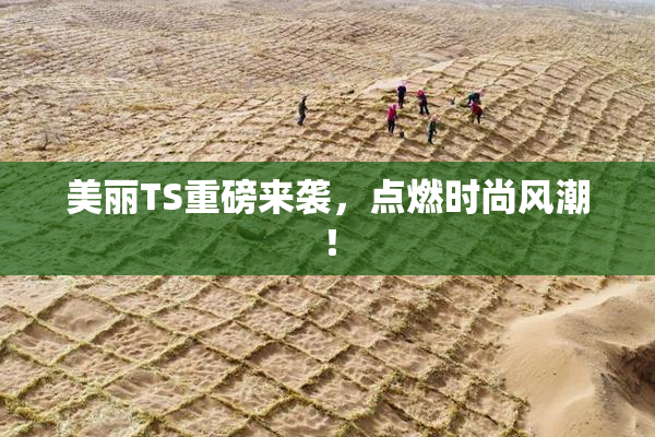 美丽TS重磅来袭，点燃时尚风潮！