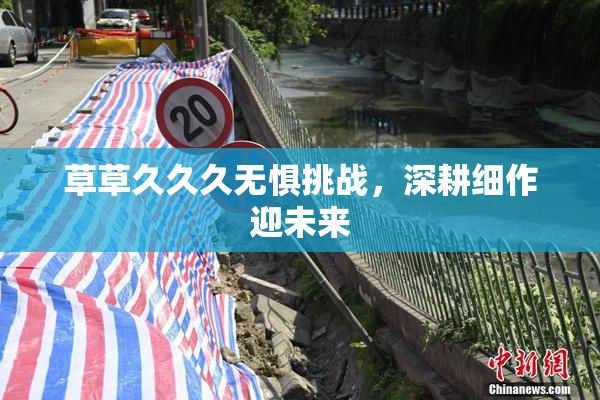 草草久久久无惧挑战，深耕细作迎未来