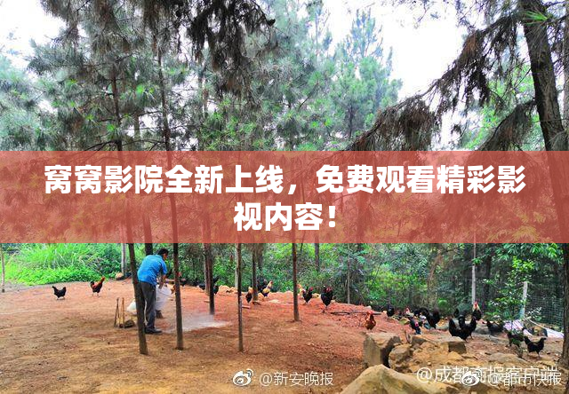 窝窝影院全新上线，免费观看精彩影视内容！