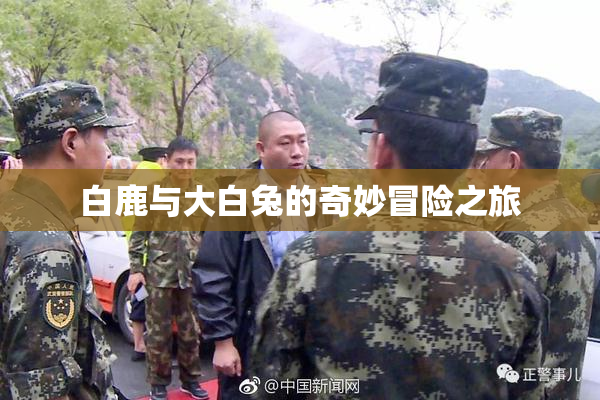 白鹿与大白兔的奇妙冒险之旅