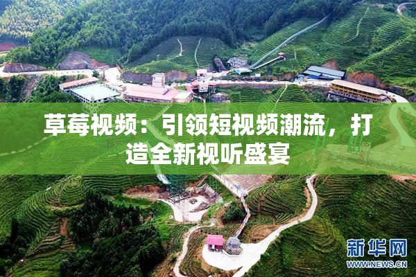 草莓视频：引领短视频潮流，打造全新视听盛宴