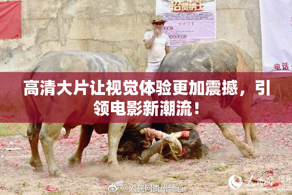 高清大片让视觉体验更加震撼，引领电影新潮流！