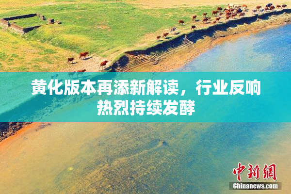 黄化版本再添新解读，行业反响热烈持续发酵