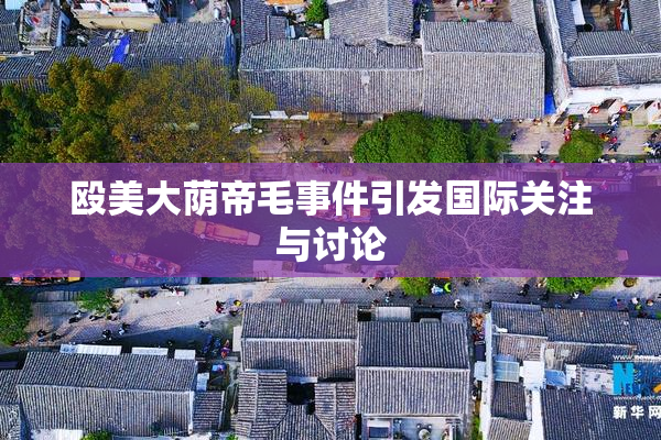 殴美大荫帝毛事件引发国际关注与讨论
