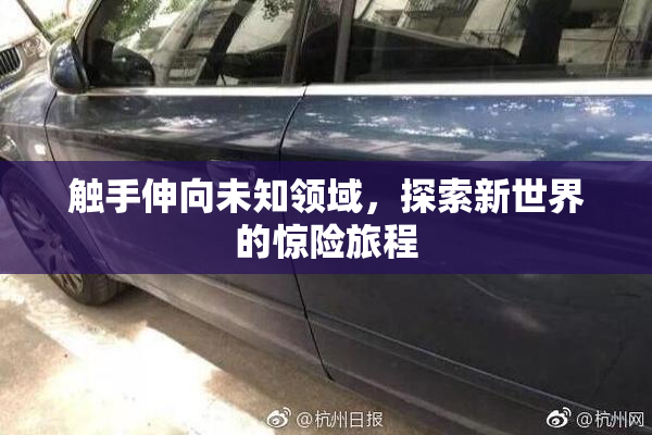 触手伸向未知领域，探索新世界的惊险旅程
