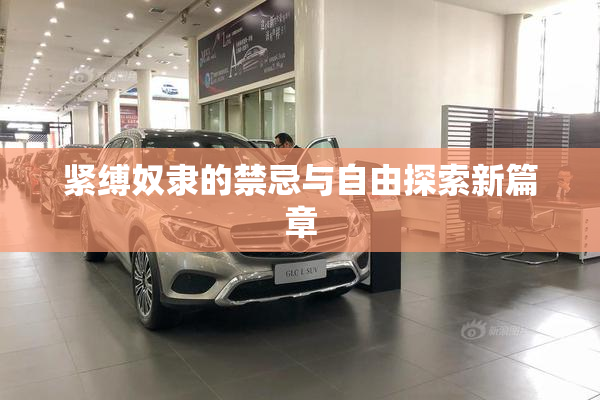 紧缚奴隶的禁忌与自由探索新篇章
