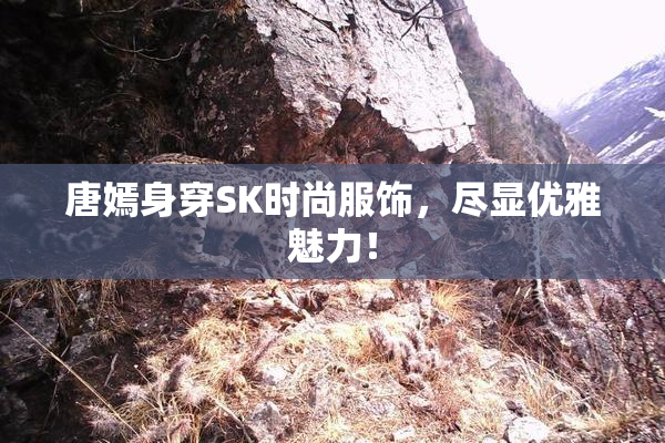 唐嫣身穿SK时尚服饰，尽显优雅魅力！