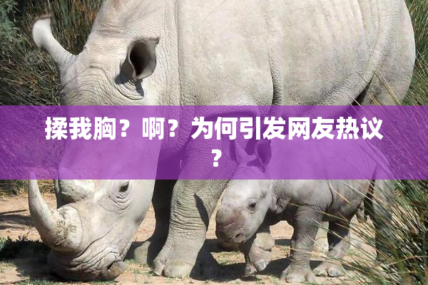 揉我胸？啊？为何引发网友热议？