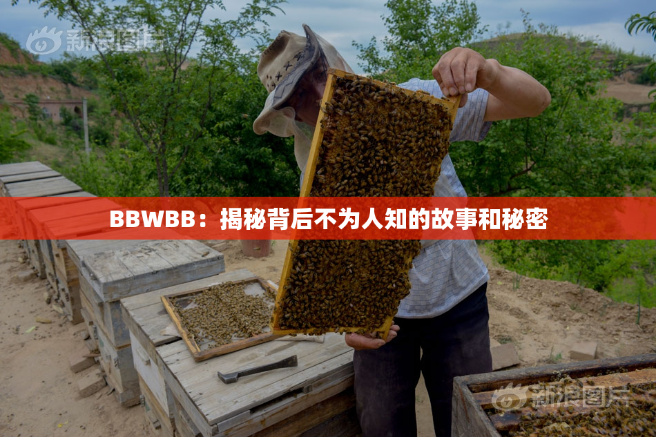 BBWBB：揭秘背后不为人知的故事和秘密