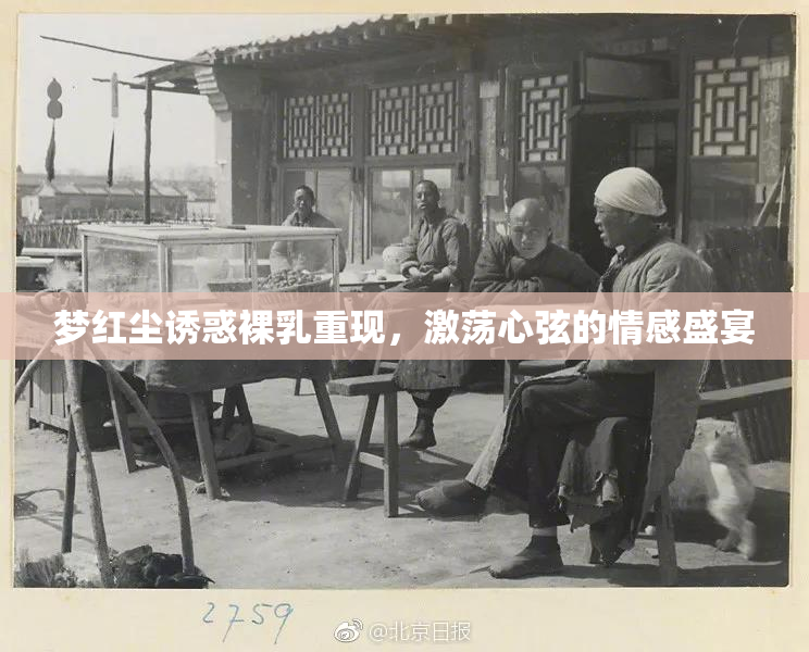 梦红尘诱惑裸乳重现，激荡心弦的情感盛宴