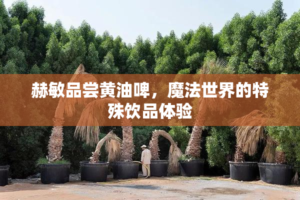 赫敏品尝黄油啤，魔法世界的特殊饮品体验
