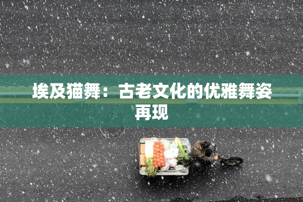 埃及猫舞：古老文化的优雅舞姿再现