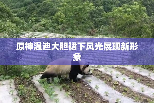 原神温迪大胆裙下风光展现新形象