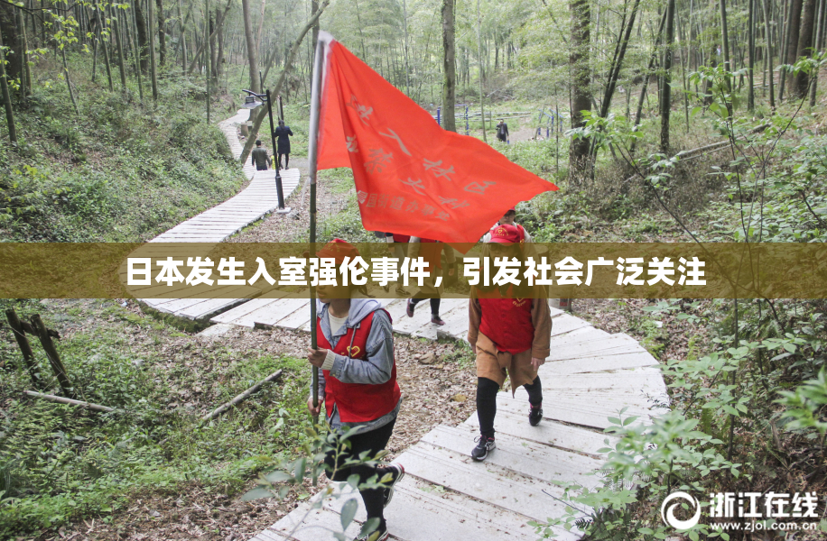 日本发生入室强伦事件，引发社会广泛关注
