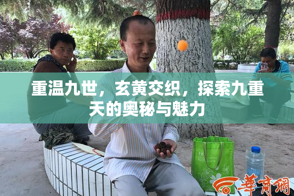 重温九世，玄黄交织，探索九重天的奥秘与魅力
