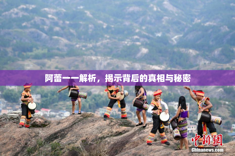 阿蕾一一解析，揭示背后的真相与秘密