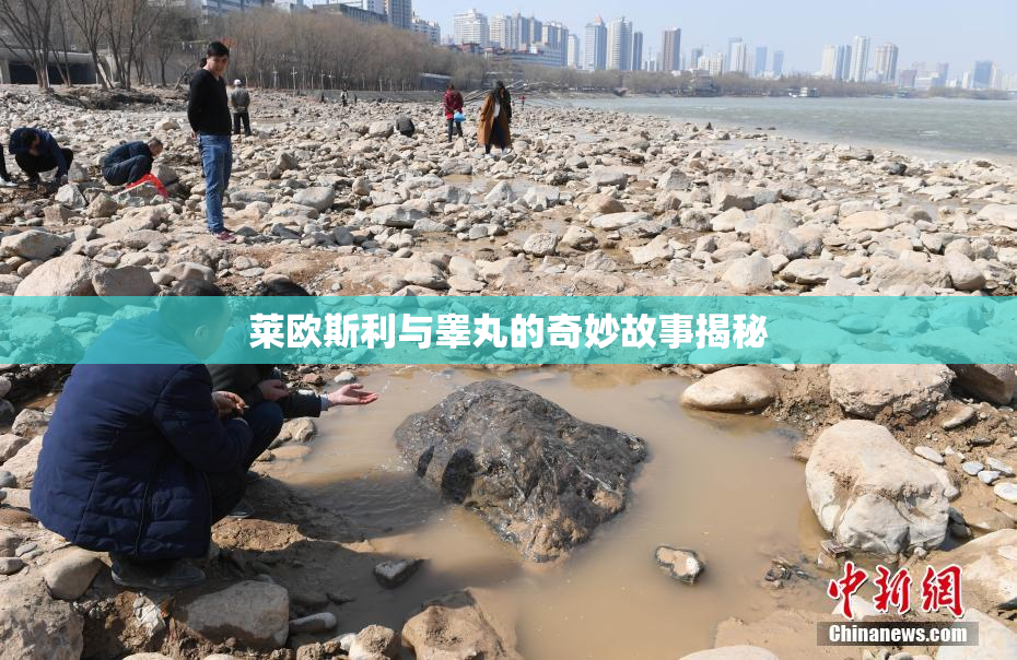 莱欧斯利与睾丸的奇妙故事揭秘