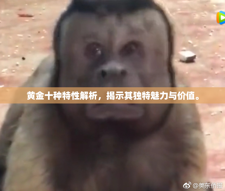 黄金十种特性解析，揭示其独特魅力与价值。