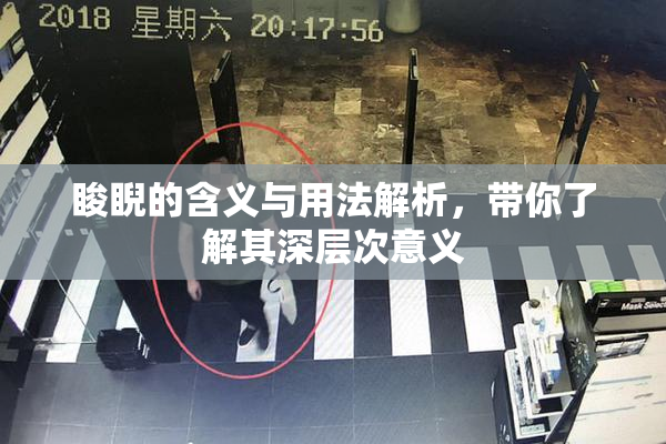 睃睨的含义与用法解析，带你了解其深层次意义