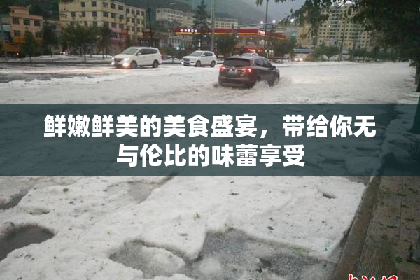 鲜嫩鲜美的美食盛宴，带给你无与伦比的味蕾享受