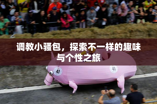调教小骚包，探索不一样的趣味与个性之旅