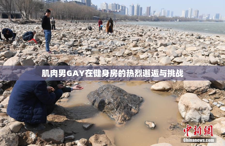 肌肉男GAY在健身房的热烈邂逅与挑战
