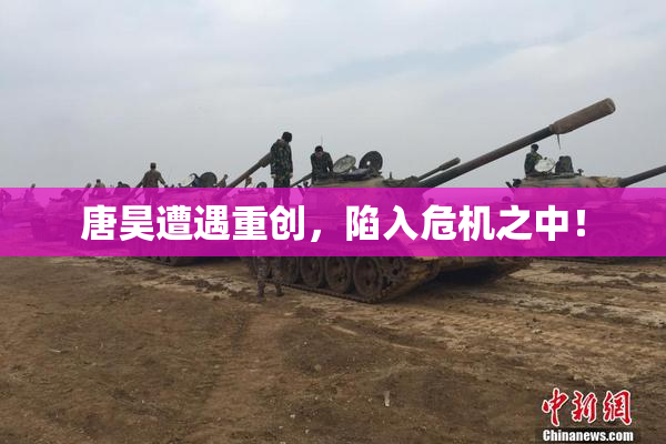 唐昊遭遇重创，陷入危机之中！