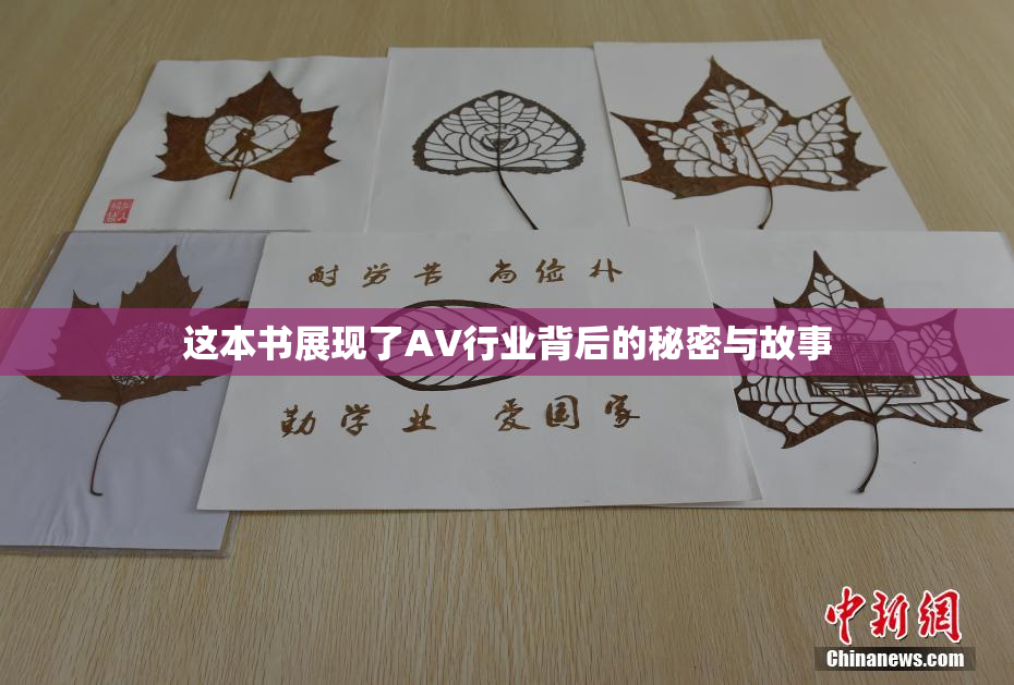 这本书展现了AV行业背后的秘密与故事