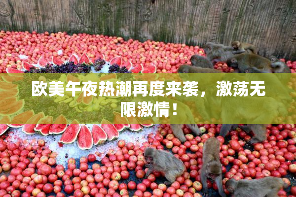 欧美午夜热潮再度来袭，激荡无限激情！
