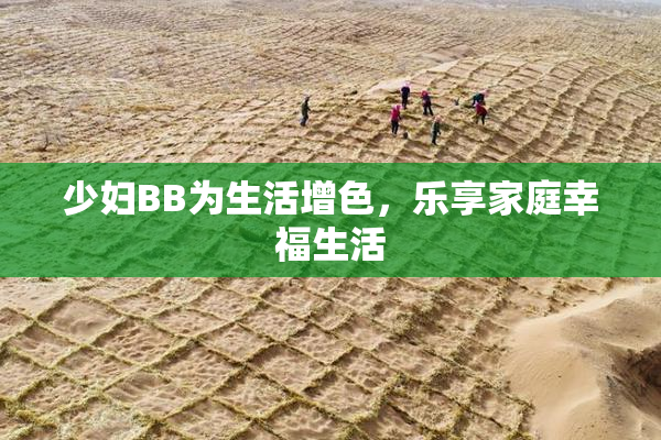 少妇BB为生活增色，乐享家庭幸福生活