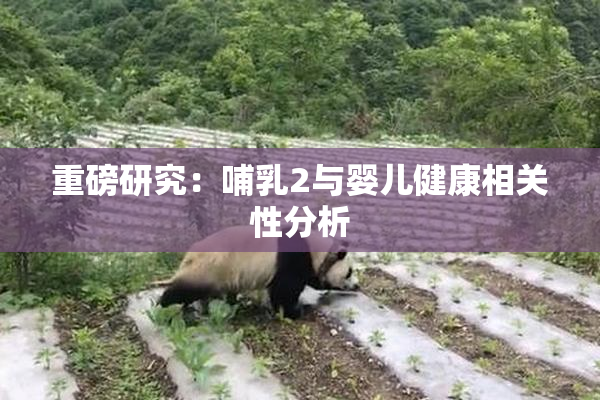 重磅研究：哺乳2与婴儿健康相关性分析